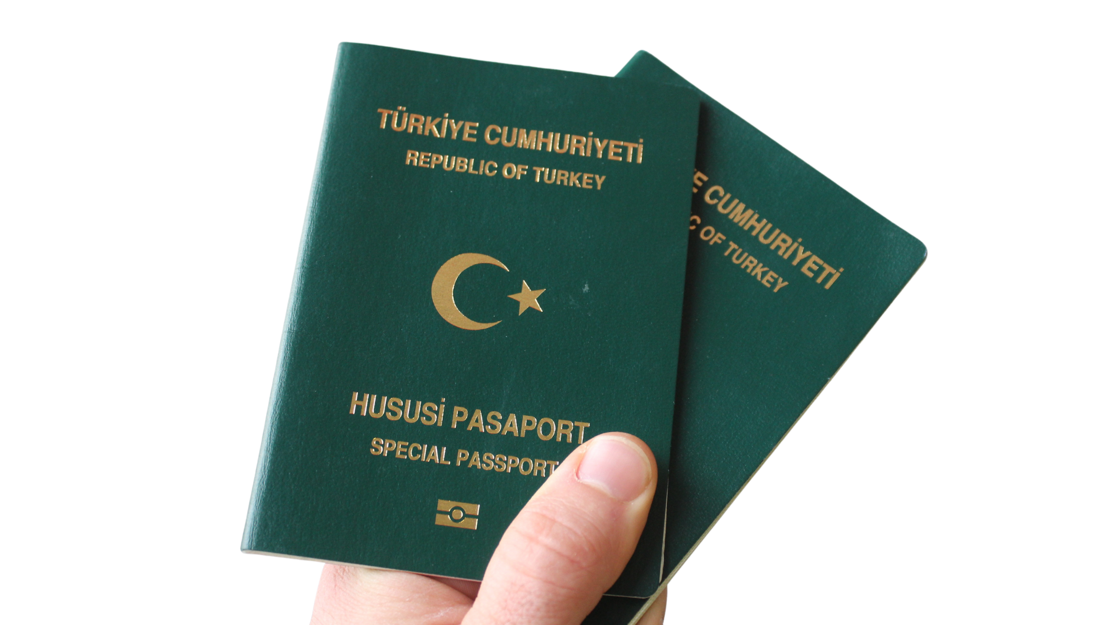 İhracatçılar İçin Yeşil Pasaport Rehberi