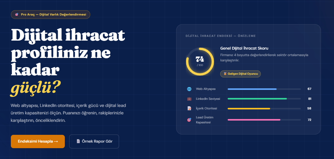 Dijital İhracat Endeksi: Dijital Varlığınız İhracat Performansınızı Nasıl Etkiliyor?