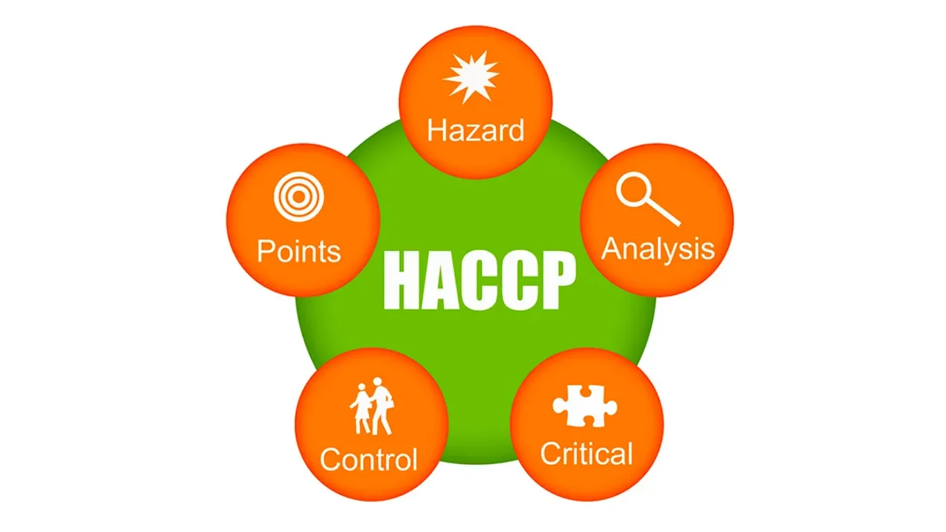 HACCP Sertifikası Nedir? Gıda Güvenliği Sisteminin Temeli Rehberi