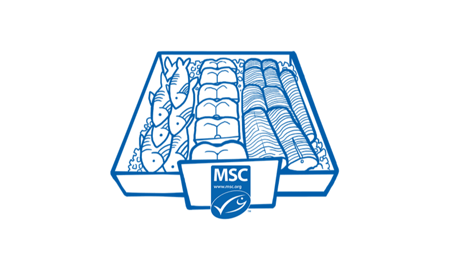MSC Chain of Custody Sertifikası Nedir? Sürdürülebilir Deniz Ürünleri Rehberi