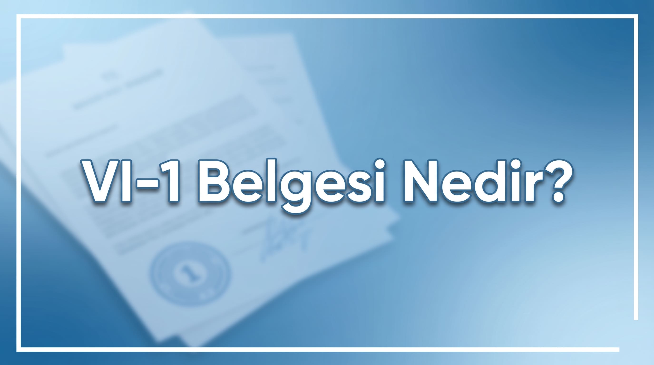 VI-1 Belgesi Nedir? AB Şarap İthalatı Sertifikası Rehberi